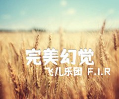 完美幻觉吉他谱_飞儿乐团（F I R）_原版指弹吉他简谱