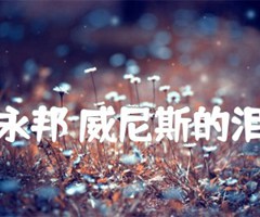 永邦 威尼斯的泪吉他谱_永邦_B调_原版指弹吉他简谱