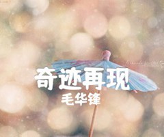 奇迹再现吉他谱_毛华锋_G调_原版指弹吉他简谱