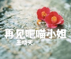 再见吧喵小姐吉他谱_王晓天_B调_原版指弹吉他简谱