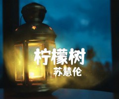 柠檬树吉他谱_苏慧伦_原版指弹吉他简谱