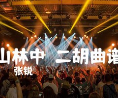 山林中  二胡曲谱吉他谱_张锐_F调_原版弹唱吉他简谱