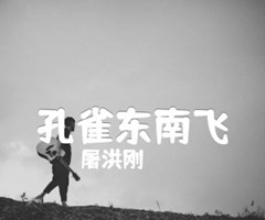 孔雀东南飞吉他谱_屠洪刚_G调_原版弹唱吉他简谱