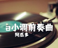 a小调前奏曲吉他谱_阿瓜多_C调_原版指弹吉他简谱