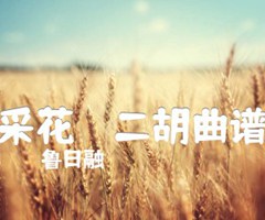 采花    二胡曲谱吉他谱_鲁日融_原版弹唱吉他简谱