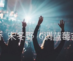 安河桥 宋冬野 G调蓝莓吉他版吉他谱_群星_G调_原版指弹吉他简谱