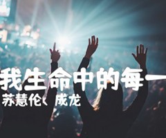 在我生命中的每一天吉他谱_苏慧伦、成龙_E调_原版弹唱吉他简谱