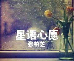 星语心愿吉他谱_张柏芝_独奏_G调_原版弹唱吉他简谱