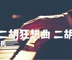 第一二胡狂想曲 二胡曲谱吉他谱_王建民_原版弹唱吉他简谱