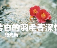 洁白的羽毛寄深情吉他谱_施光南_G调_原版弹唱吉他简谱