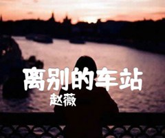 离别的车站吉他谱_赵薇_C调_原版指弹吉他简谱