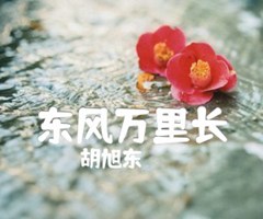 东风万里长吉他谱_胡旭东_A调_原版弹唱吉他简谱