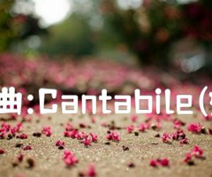 钢琴小曲:Cantabile(如歌地)吉他谱_波肖邦_原版指弹吉他简谱