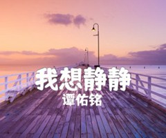 我想静静吉他谱_谭佑铭_C调_原版指弹吉他简谱