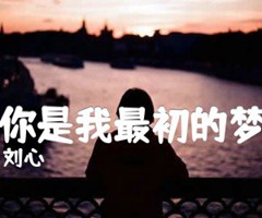 爱你是我最初的梦想吉他谱_刘心_G调_原版指弹吉他简谱