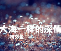 大海一样的深情吉他谱_刘文金_G调_原版指弹吉他简谱