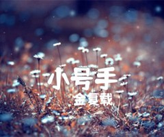 小号手吉他谱_金复载_G调_原版弹唱吉他简谱