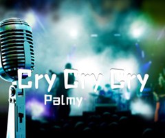 Cry Cry Cry吉他谱_Palmy_原版指弹吉他简谱