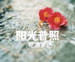 阳光普照吉他谱_尼洛罗达_原版指弹吉他简谱