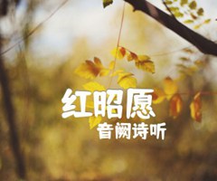 红昭愿吉他谱_音阙诗听_C调_原版指弹吉他简谱