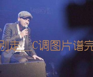 爱我别走吉他谱_张震岳__C调简谱歌词