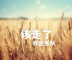 该走了吉他谱_非鱼乐队_A调_原版弹唱吉他简谱