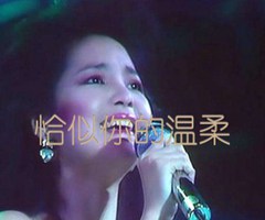 恰似你的温柔吉他谱_邓丽君_文字谱简谱歌词