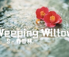 Weeping Willow吉他谱_S·乔普林_原版弹唱吉他简谱