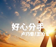 好心分手吉他谱_卢巧音/王力宏_E调_原版弹唱吉他简谱