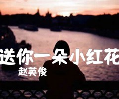 送你一朵小红花吉他谱_赵英俊_G调_原版指弹吉他简谱