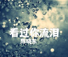 看过你流泪吉他谱_陈晓东_文字谱简谱歌词