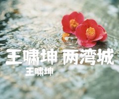 王啸坤 两湾城吉他谱_王啸坤_A调_原版弹唱吉他简谱