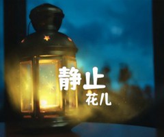 静止吉他谱_花儿_原版弹唱吉他简谱