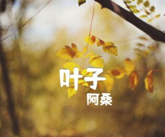 叶子吉他谱_阿桑_悦调_原版指弹吉他简谱