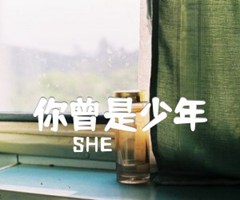 你曾是少年吉他谱_SHE_F调_原版指弹吉他简谱