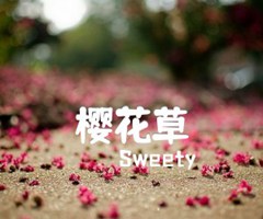 樱花草吉他谱_Sweety_D调_原版指弹吉他简谱