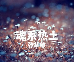 魂系热土吉他谱_张华敏_B调_原版指弹吉他简谱