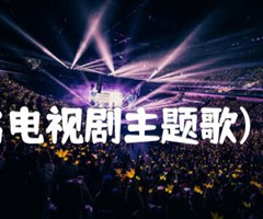 雪珂(同名电视剧主题歌)  二胡曲谱吉他谱_左宏元_原版弹唱吉他简谱