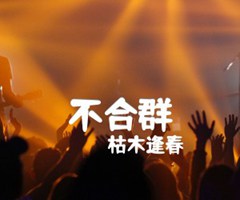 不合群吉他谱_枯木逢春_C调_原版弹唱吉他简谱