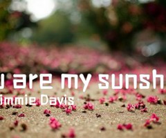 you are my sunshine吉他谱_Jimmie Davis_C调_原版弹唱吉他简谱