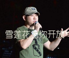 雪莲花为你开放吉他谱_刀郎_D调_原版指弹吉他简谱