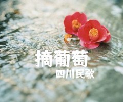 摘葡萄吉他谱_四川民歌_D调_原版弹唱吉他简谱