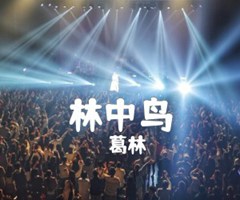 林中鸟吉他谱_葛林_C调_原版指弹吉他简谱