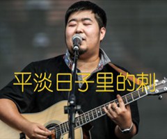 平淡日子里的刺吉他谱_宋冬野_原版弹唱吉他简谱