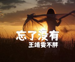 忘了没有吉他谱_王靖雯不胖_C调_原版指弹吉他简谱