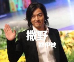 撒野吉他谱_郑伊健_C调_原版指弹吉他简谱