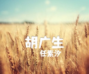 胡广生吉他谱_任素汐__C调简谱歌词