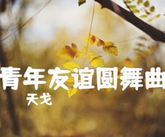 青年友谊圆舞曲吉他谱_天戈_C调_原版指弹吉他简谱