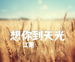 想你到天光吉他谱_江蕙_C调_原版指弹吉他简谱