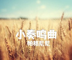 小奏鸣曲吉他谱_帕格尼尼_原版弹唱吉他简谱